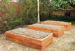 Garden Beds